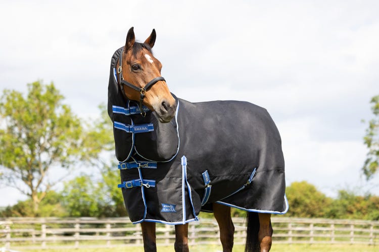 StormX Empra Extra 200g Turnout Rug with Detachable Neck image 9